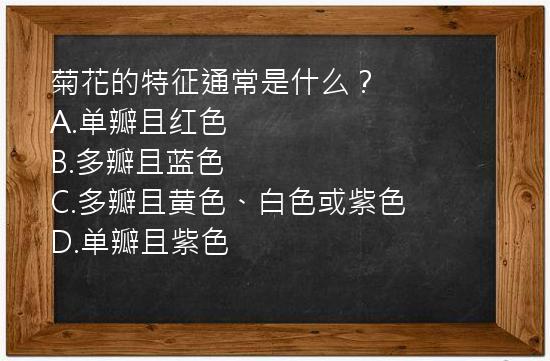 菊花的特征通常是什么？