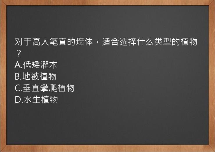 对于高大笔直的墙体，适合选择什么类型的植物？