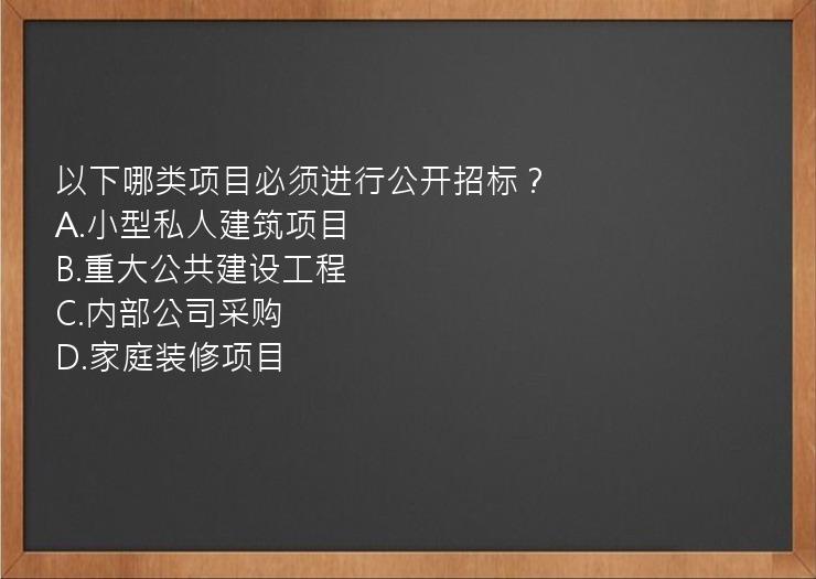 以下哪类项目必须进行公开招标？