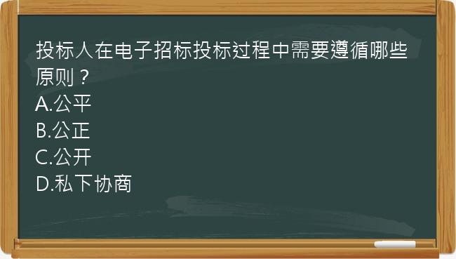 投标人在电子招标投标过程中需要遵循哪些原则？