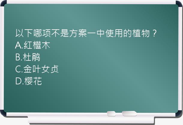 以下哪项不是方案一中使用的植物？