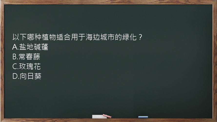 以下哪种植物适合用于海边城市的绿化？