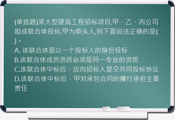 (单选题)某大型建筑工程招标项目,甲、乙、丙公司组成联合体投标,甲为牵头人,则下面说法正确的是(