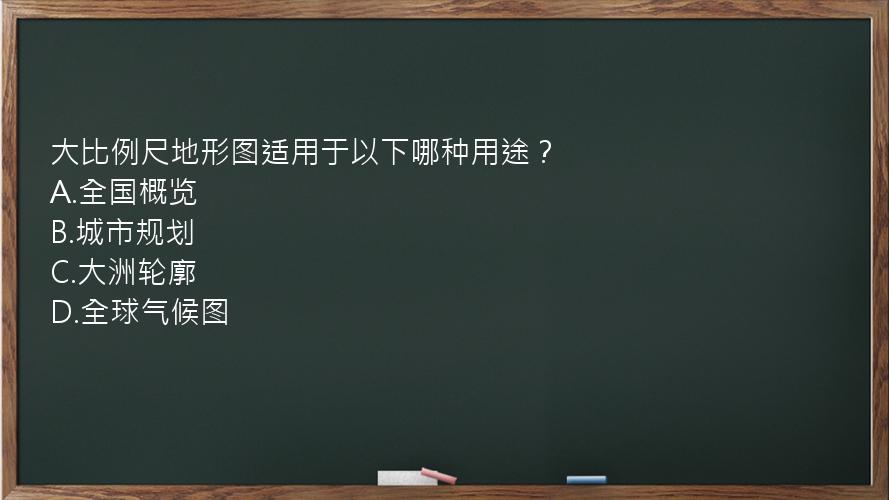 大比例尺地形图适用于以下哪种用途？