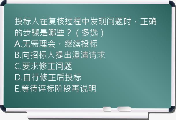 投标人在复核过程中发现问题时，正确的步骤是哪些？（多选）