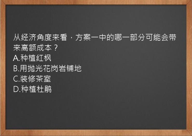 从经济角度来看，方案一中的哪一部分可能会带来高额成本？