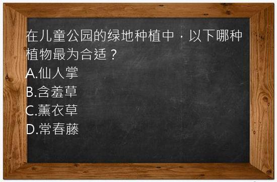 在儿童公园的绿地种植中，以下哪种植物最为合适？