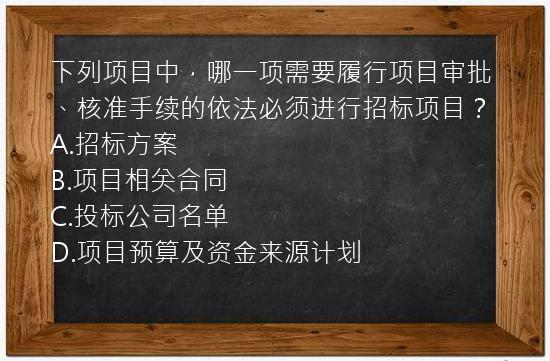 下列项目中，哪一项需要履行项目审批、核准手续的依法必须进行招标项目？