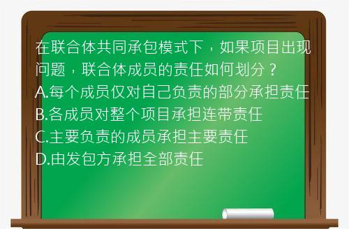 在联合体共同承包模式下，如果项目出现问题，联合体成员的责任如何划分？