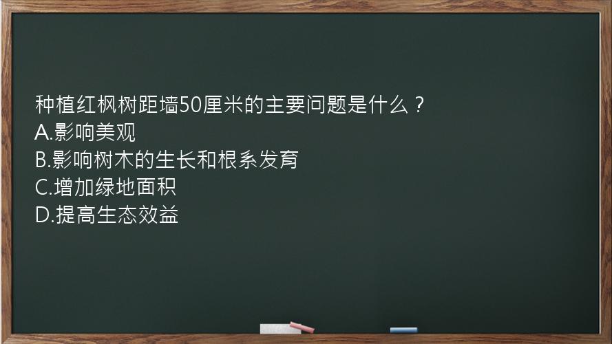 种植红枫树距墙50厘米的主要问题是什么？