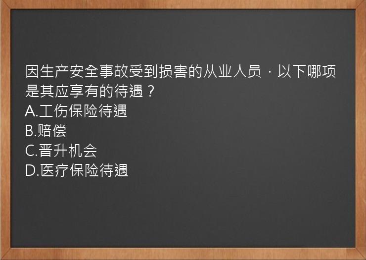 因生产安全事故受到损害的从业人员，以下哪项是其应享有的待遇？