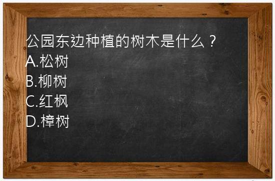 公园东边种植的树木是什么？