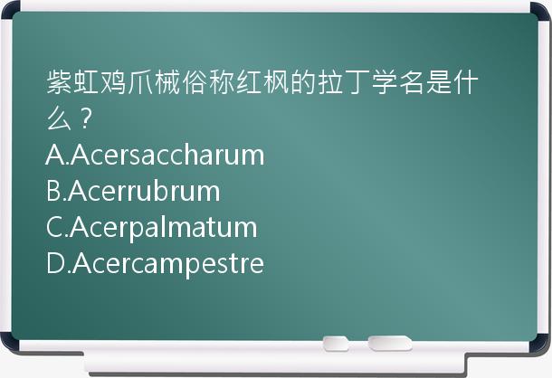 紫虹鸡爪械俗称红枫的拉丁学名是什么？