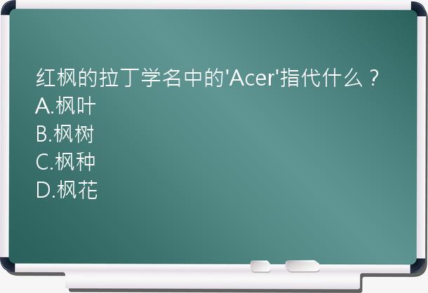 红枫的拉丁学名中的'Acer'指代什么？