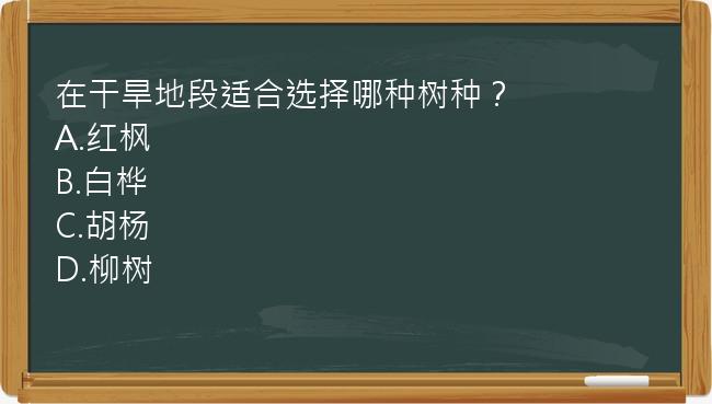 在干旱地段适合选择哪种树种？