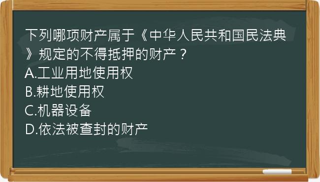 下列哪项财产属于《中华人民共和国民法典》规定的不得抵押的财产？