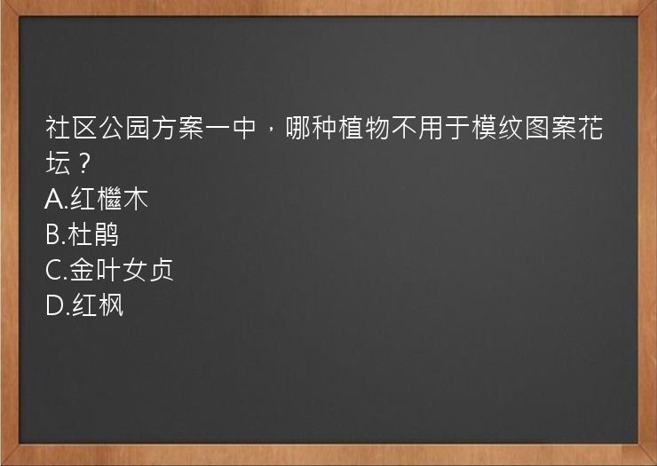 社区公园方案一中，哪种植物不用于模纹图案花坛？