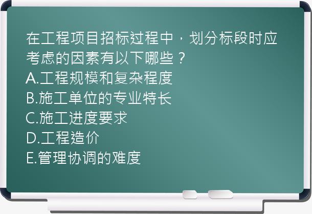 在工程项目招标过程中，划分标段时应考虑的因素有以下哪些？