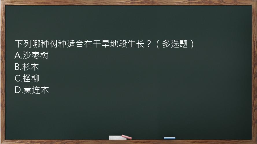 下列哪种树种适合在干旱地段生长？（多选题）