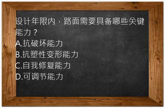 设计年限内，路面需要具备哪些关键能力？