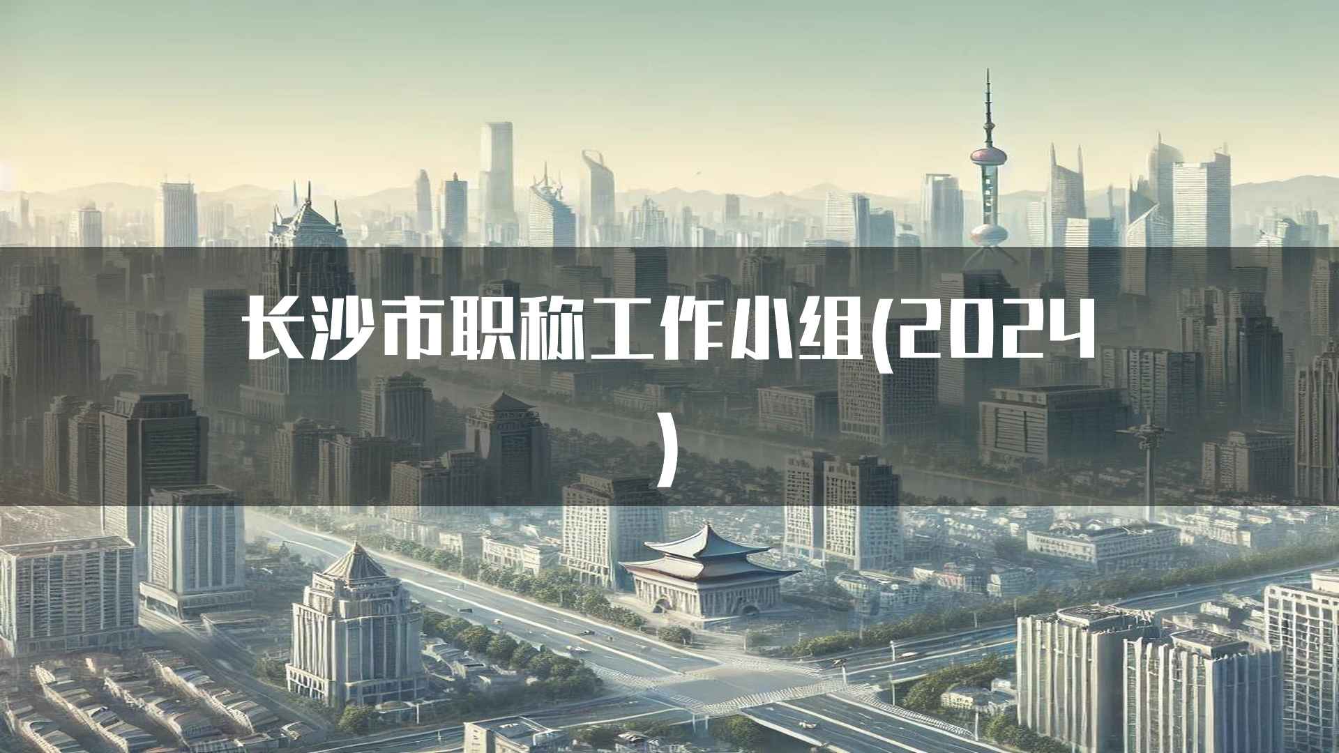 长沙市职称工作小组(2024)