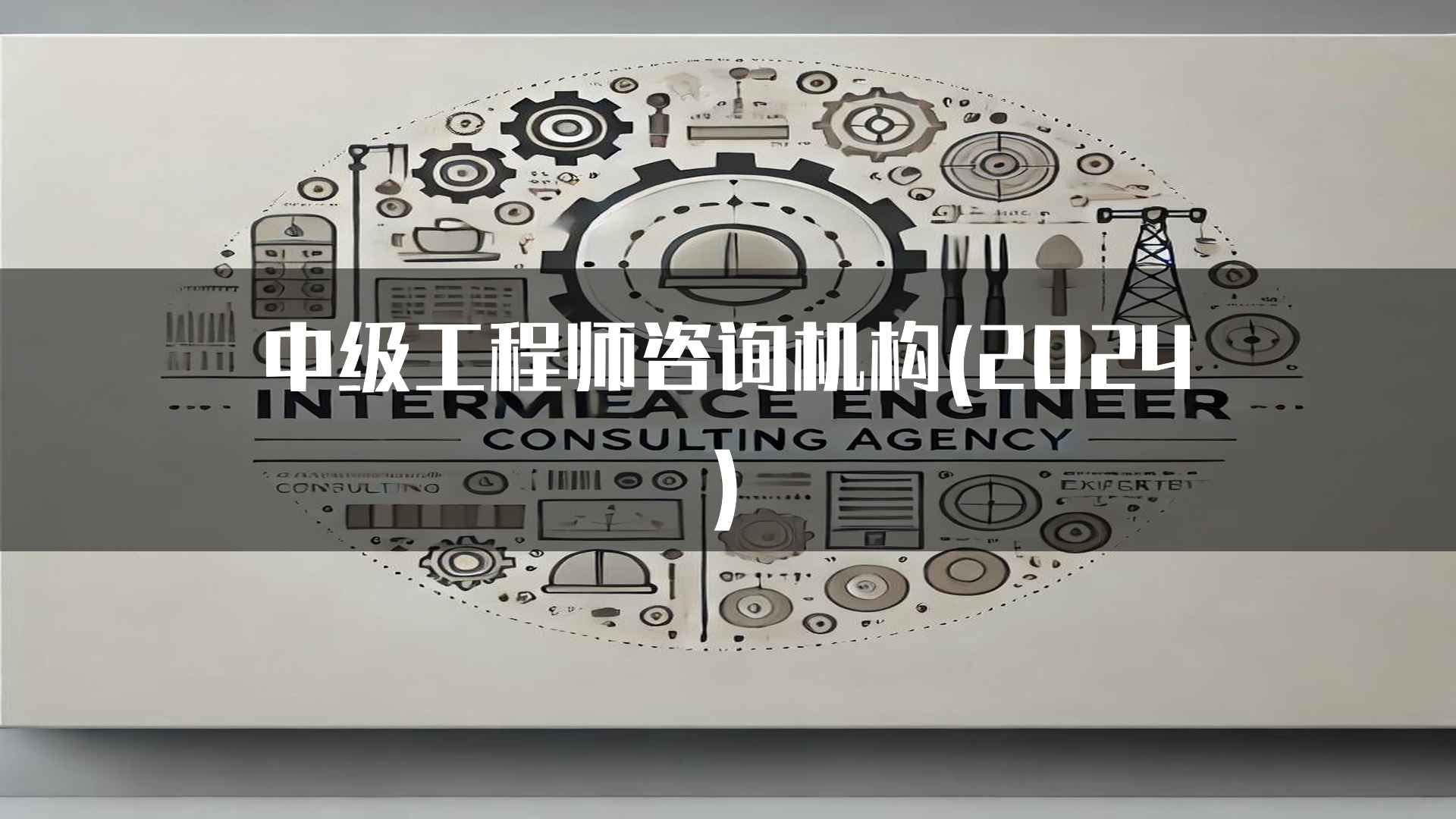 中级工程师咨询机构(2024)