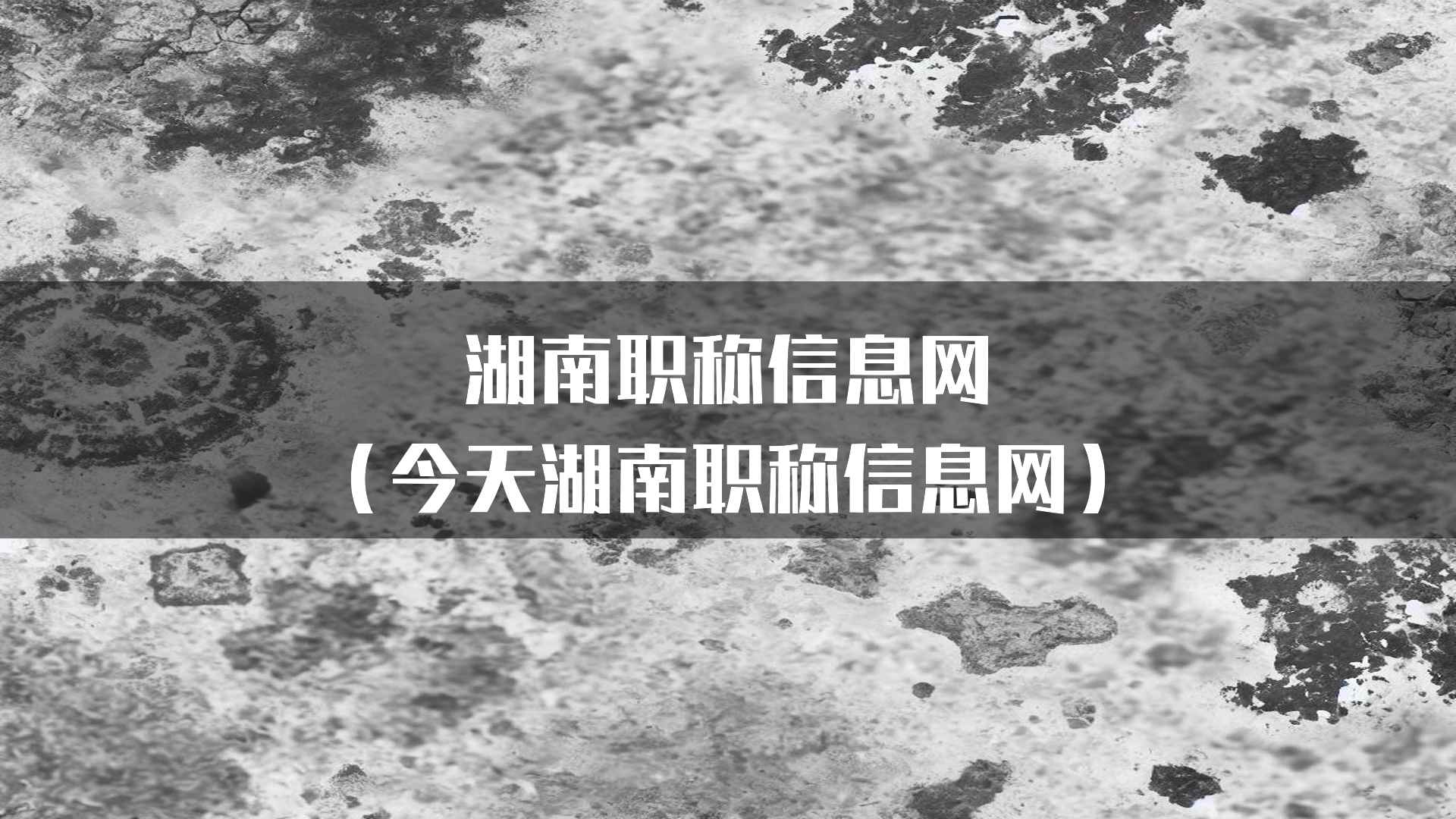 未来的湖南职称信息网：发展趋势与展望