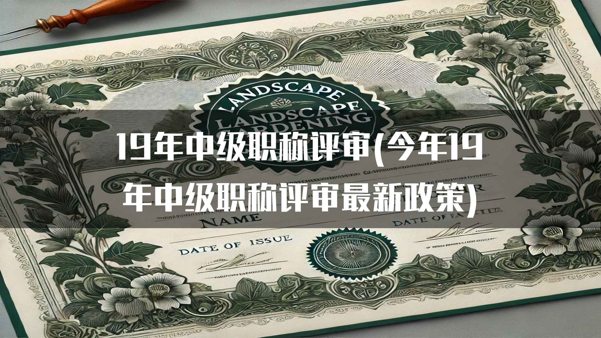 19年中级职称评审(今年19年中级职称评审最新政策)